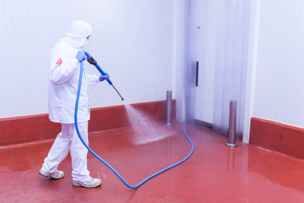 Spring Cleaning in Sterlington, LA